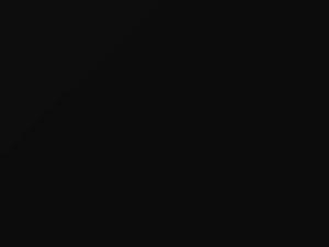 Lamborghini Murcielago Deep Black 2008 0051, 231524, 51