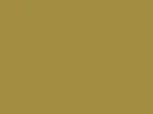 Ford All Models Inca Gold 2007 7106, BI, M7106A