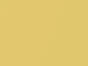 Toyota All Models Yellow Mica 2000 584