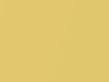Toyota All Models Yellow Mica 2000 584