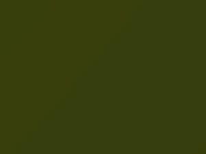 Volkswagen All Models Alpine Green 1956 L61H