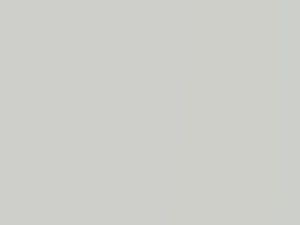 Dodge All Models White Pearl/Galaxy White Pearl 1996 AC10875, W75