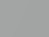Lotus Lotus Arctic Silver Metallic/Artic Silver Metallic 2004 B115