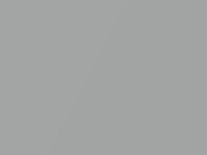 Lotus All Models Arctic Silver Metallic 2016 B115