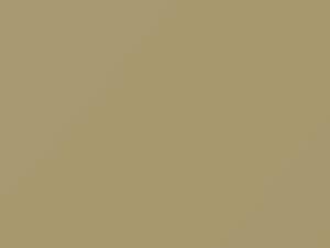 Honda Insight Vanilla Creme 2014 YR546 - Scratch Repair