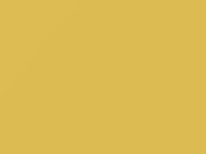 Nissan All Models Light Yellow 1997 EH2 - Scratch Repair