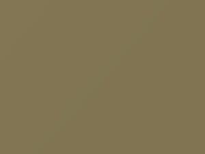 Nissan All Models Light Olive 2006 E20