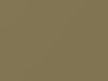 Nissan All Models Light Olive 2004 E20