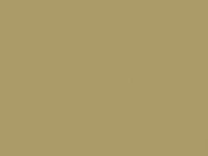 Buick All Models Trumpet Gold Metallic 1969 3922, 65, WA3922