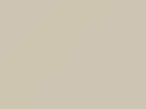 Dodge All Models Stone White 2011 DT1681, PW5 - Scratch Repair