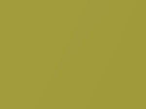 Lotus All Models Autumn Fold Metallic 2014 B116