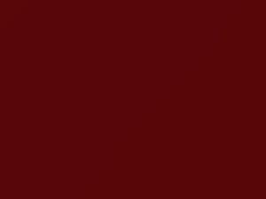 Chevrolet All Models Victory Red 2011 419P, 57, WA419P
