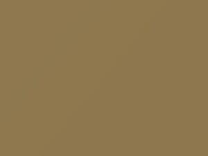 Mitsubishi All Models Mexican Yellow 1986 TC1085, Y30 - Scratch Repair