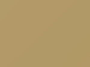 Nissan All Models Light Yellow 2019 E41 - Scratch Repair