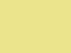 Subaru All Models Cream Yellow Pearl 2004 41C