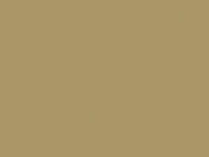 Daihatsu All Models Beige 1987 T08