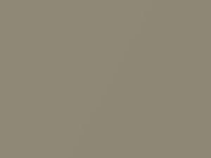 Mitsubishi All Models Beige Poly Metallic 2007 AC10091