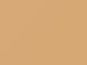 Porsche All Models Apricot Beige 1995 548, 54B, E4