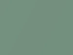 Ford All Models Meadowvale Green Metallic/Sherwood Green Metallic 1960 M1273A, T