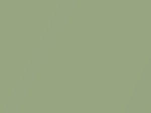 Buick All Models Seamist Green Metallic 1970 4025, 45, WA4025