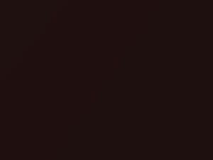 Cadillac All Models Rootbeer Metallic 1992 69 - Scratch Repair