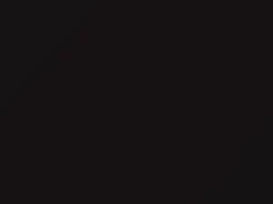 Honda Civic Flint Black Metallic 1990 NH526M