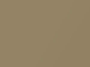 Toyota All Models Gold Metallic 2005 4L9