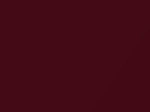 Lotus All Models Bordeaux Red Metallic 2011 B95