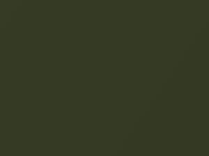 Dodge All Models Dark Green Metallic 1970 AY2EF8, F8 - Scratch Repair