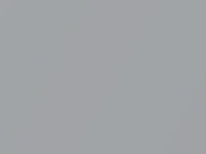 Hyundai Tiburon Silver Mist Metallic 1992 SS