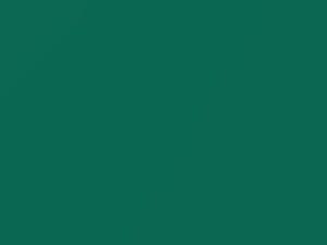 Chevrolet Corvette Spring Green Metallic 1972 36, WA4273 - Scratch Repair