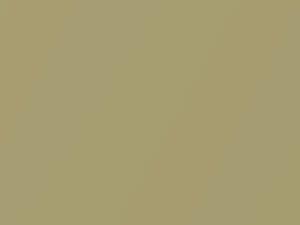 Toyota All Models Gold Metallic 2002 585