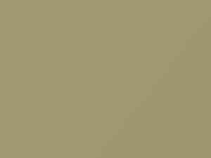 Buick All Models Desert Beige 1968 3719, T, WA3719 - Scratch Repair