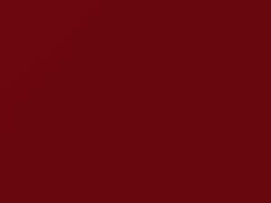 Honda All Models Victoria Red 1986 R39