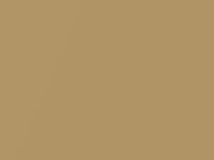 Datsun All Models Golden Mist Metallic 1981 690