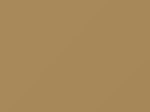 Audi All Models Kansas Beige 1972 91D, L91D