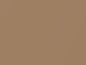 Mercury All Models Pecan Frost Metallic 1964 M1738A, P - Scratch Repair