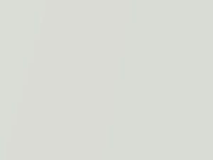 Nissan 350Z Moonlight White Pearl 2009 QAA - Scratch Repair