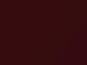 Toyota All Models Dark Red Mica 2008 3R7