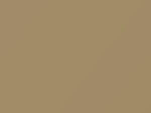 Oldsmobile All Models Almond Beige 1966 3136, V, WA3136 - Scratch Repair