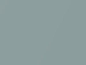 Ford All Models Silver Smoke Gray Metallic 1964 K, M1621A