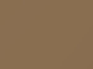 Cadillac All Models Sandalwood 1984 39, 8558, WA8558 - Scratch Repair