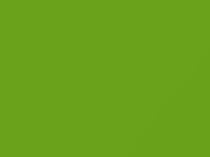 Plymouth All Models Lime Light 1970 AY1FJ5, J5