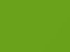 Plymouth All Models Lime Light 1970 AY1FJ5, J5