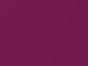 Subaru Justy Magenta Metallic 1996 1PU, 38U