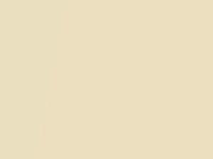 Toyota All Models Cream Pearl 2004 594