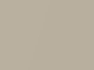 Toyota All Models Beige Crystal Pearl/Sand Dollar Pearl 2003 4R2