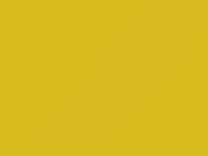 Suzuki All Models Passion Yellow 2010 44Y