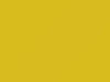 Suzuki All Models Passion Yellow 2010 44Y