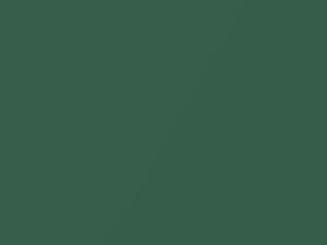 Chevrolet Cavalier Fern Green Metallic 1999 36